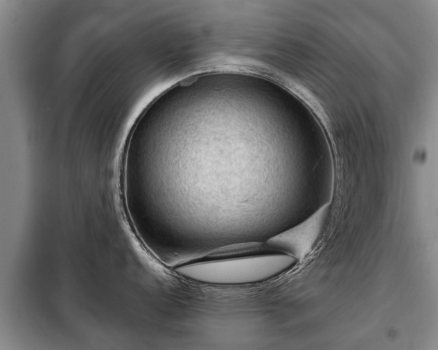 X0000099291152200805090924