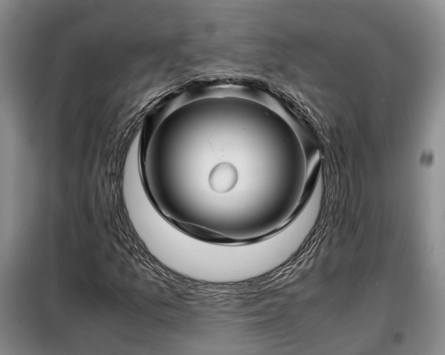 X0000099291157200805090923