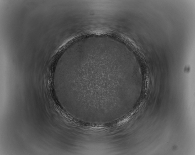 X0000099291158200805090923