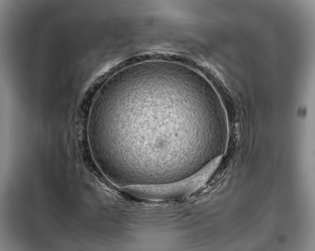 X0000099291159200805090923