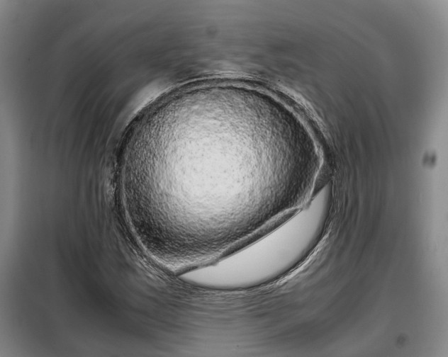 X0000099291163200805090923