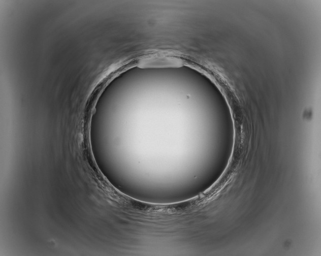 X0000099291165200805090923