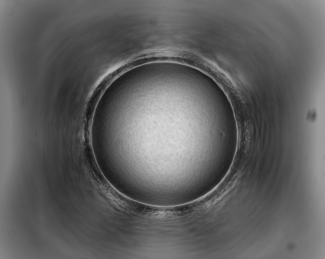 X0000099291166200805090923