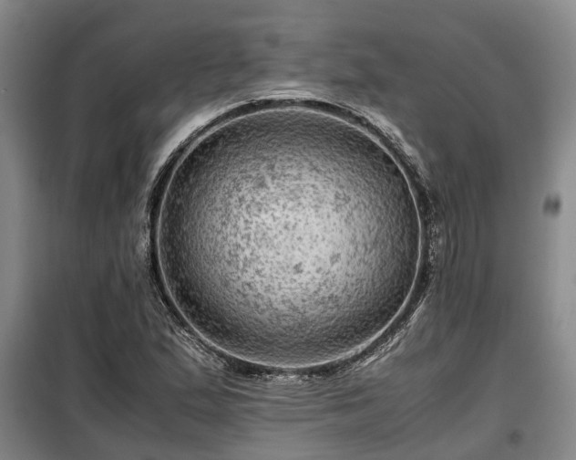 X0000099291167200805090923