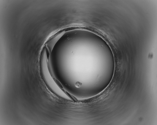 X0000099291168200805090923