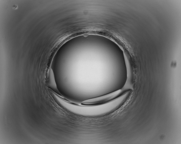 X0000099291169200805090923