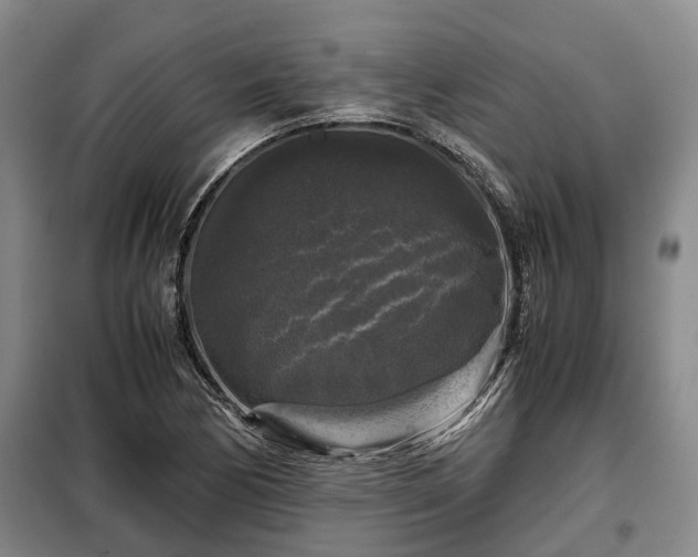 X0000099291170200805090923