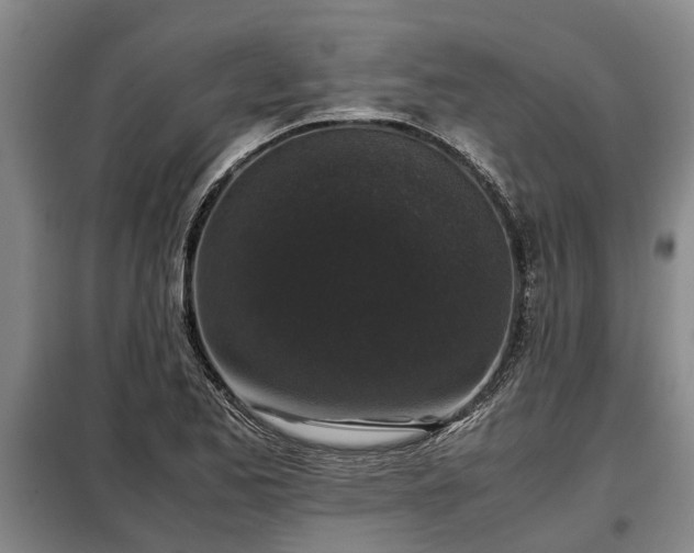 X0000099291173200805090923