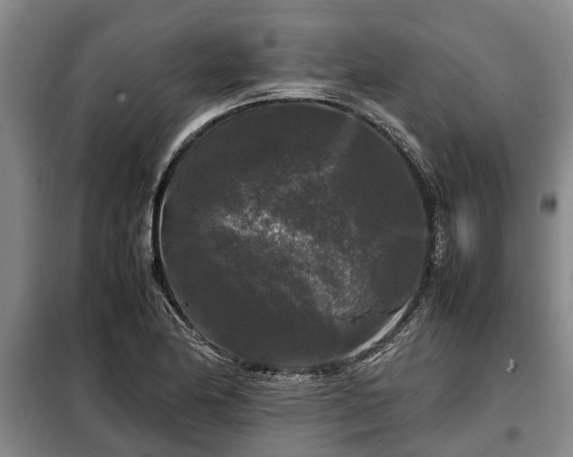X0000099291174200805090923