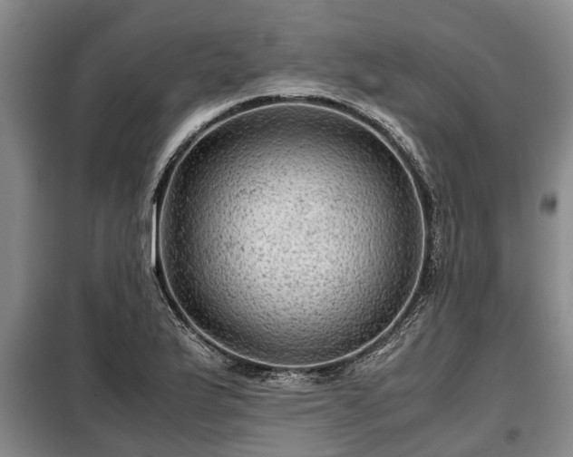 X0000099291175200805090923