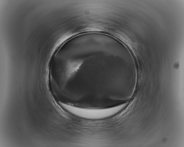 X0000099291179200805090923