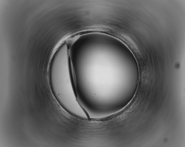 X0000099291180200805090923