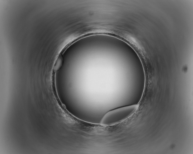X0000099291181200805090923