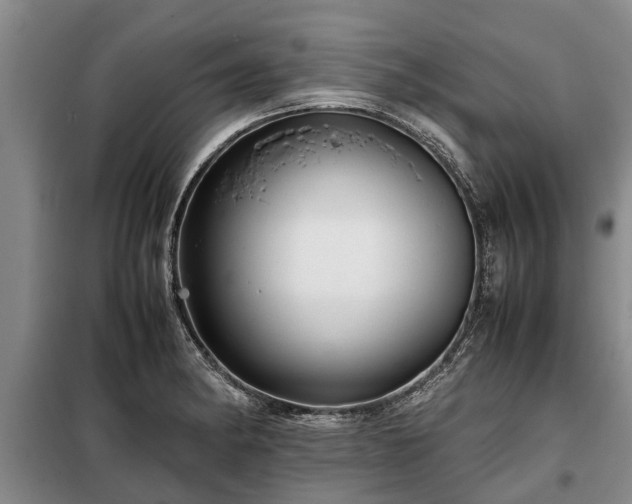 X0000099291182200805090923