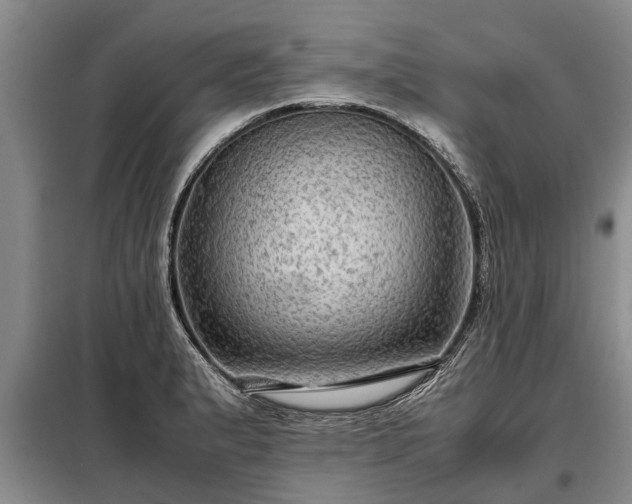 X0000099291183200805090923