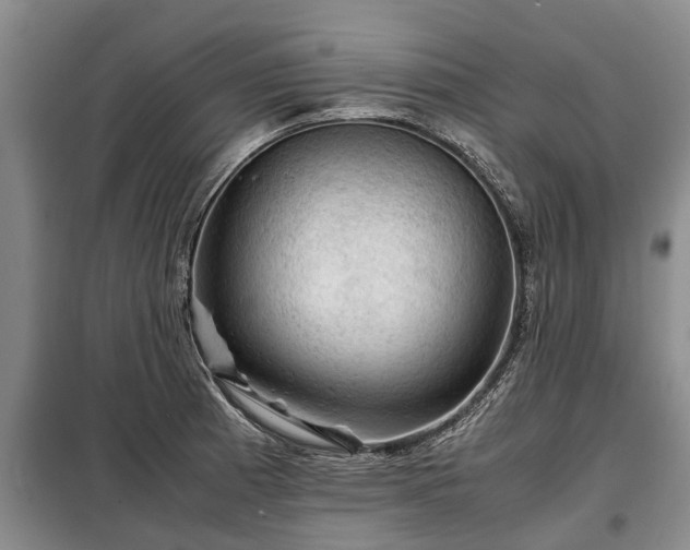 X0000099291185200805090922