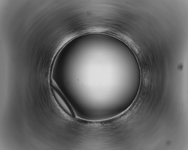 X0000099291186200805090922