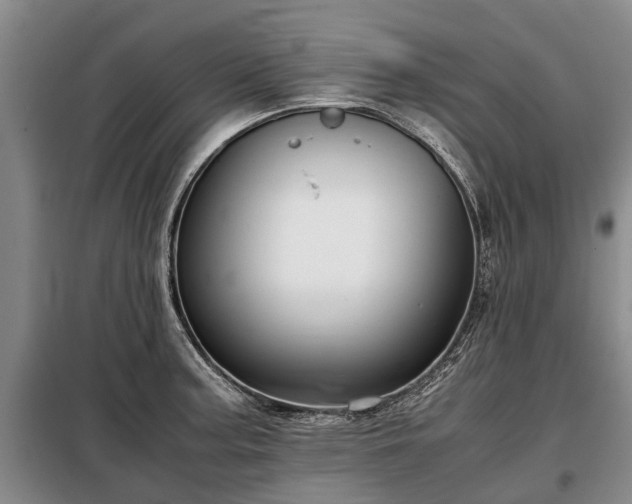 X0000099291187200805090922