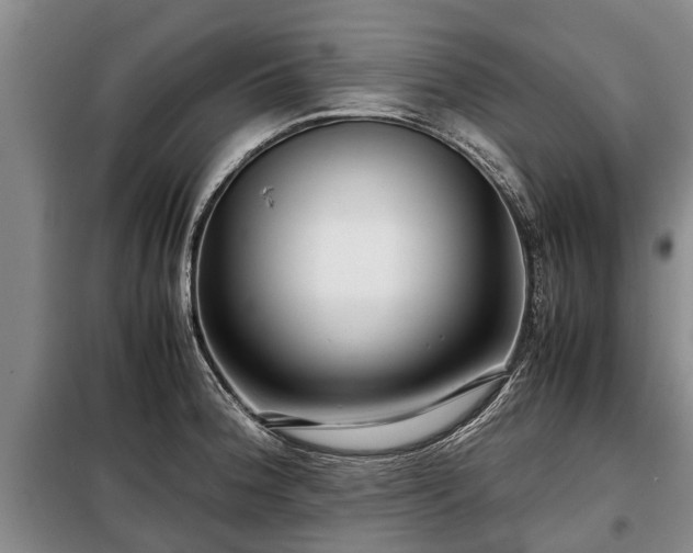 X0000099291188200805090922
