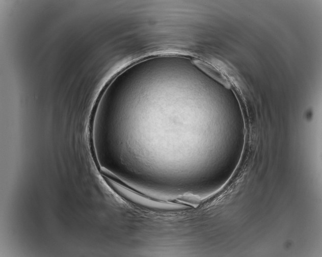 X0000099291189200805090922