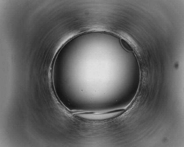X0000099291190200805090922