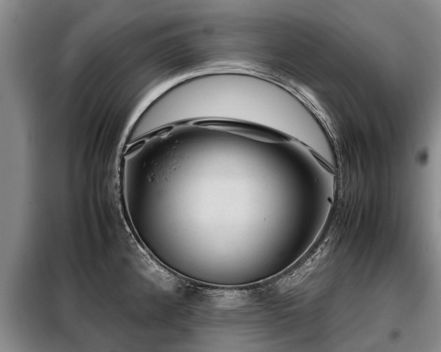 X0000099291192200805090922