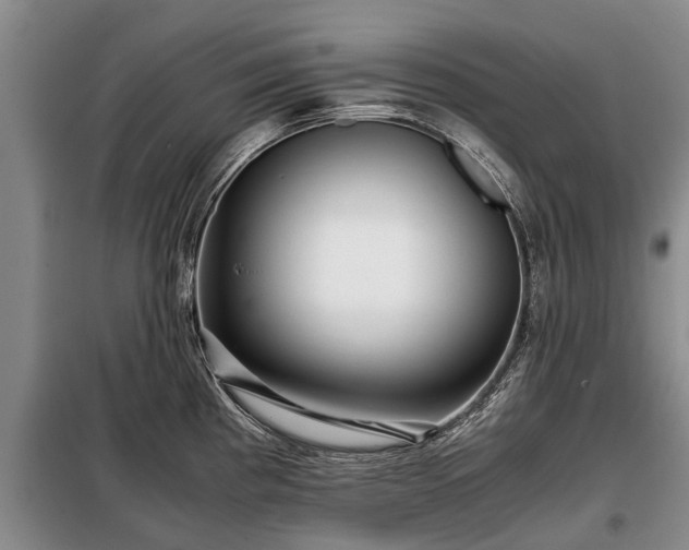 X0000099291193200805090922