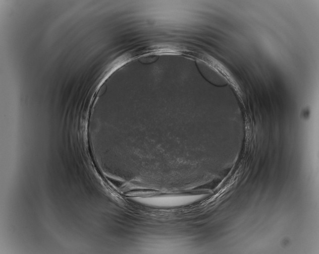 X0000099291194200805090922