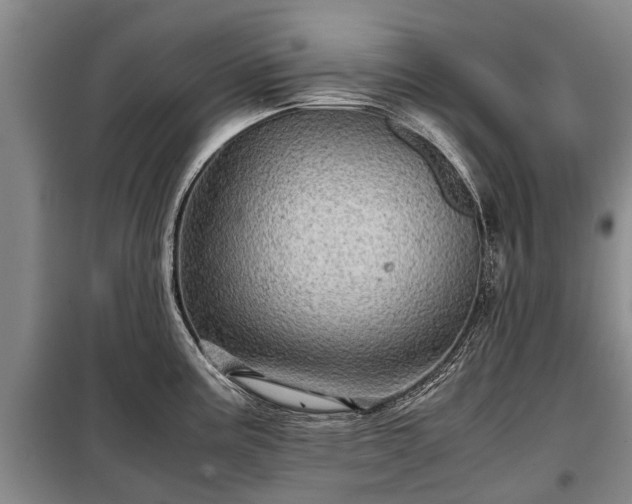X0000099291195200805090922
