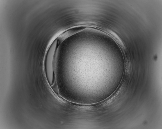 X0000099291196200805090922