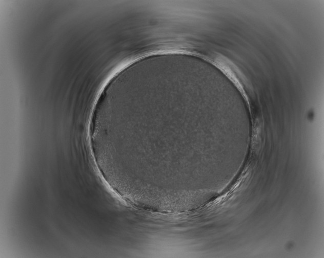 X0000099291197200805090922