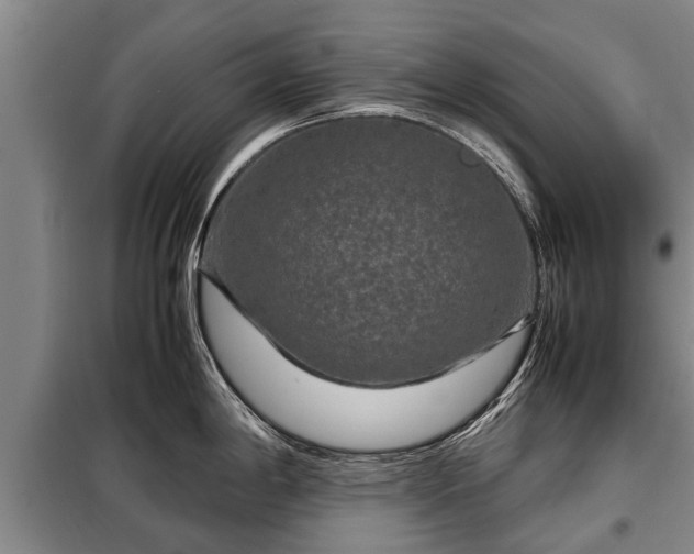 X0000099291198200805090922