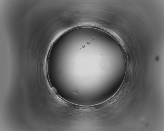 X0000099291199200805090922