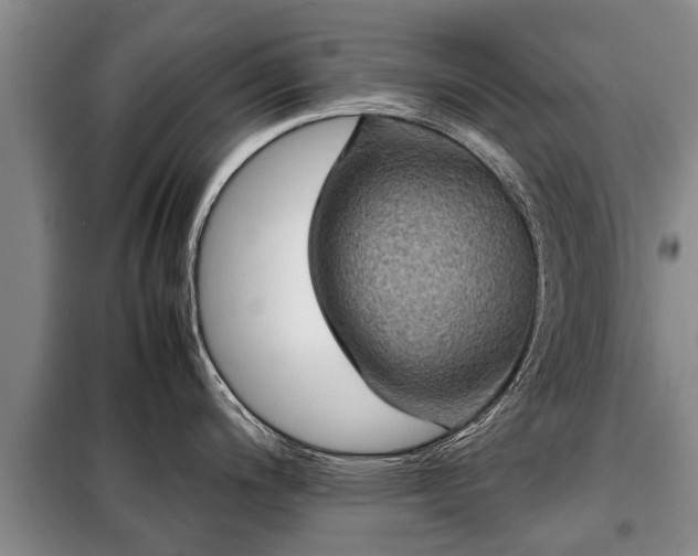 X0000099291200200805090922