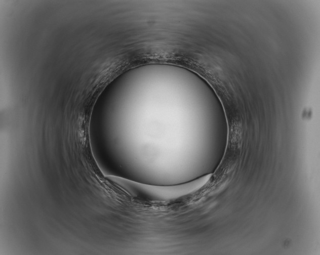 X0000099291202200805090922
