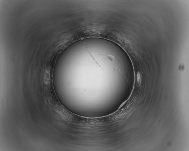 X0000099291203200805090922