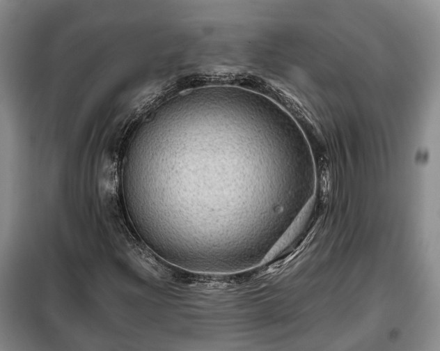 X0000099291204200805090922