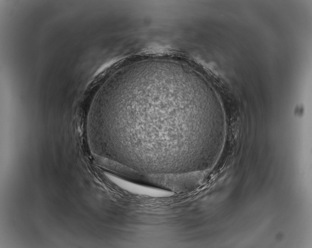 X0000099291206200805090922