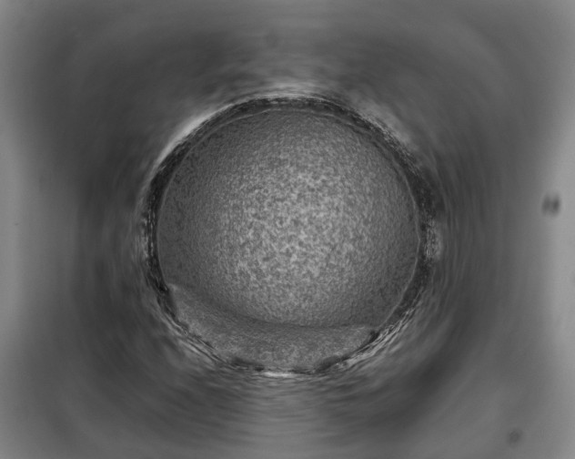 X0000099291208200805090922