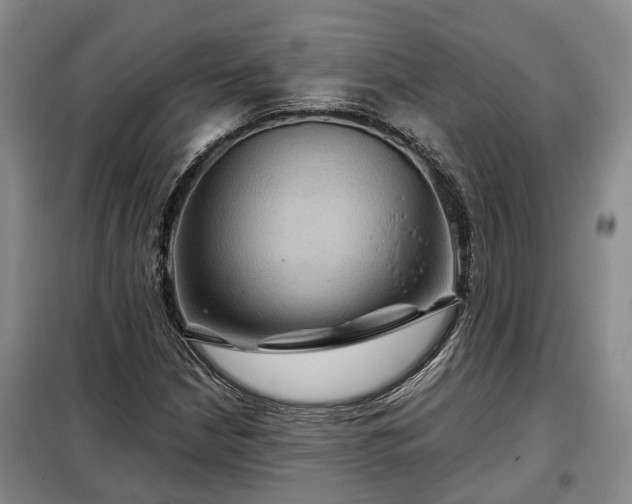 X0000099291210200805090922