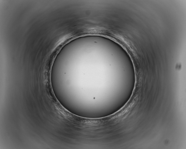 X0000099291211200805090922