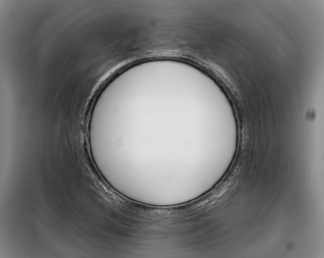 X0000099291212200805090922