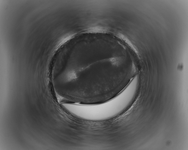 X0000099291213200805090922