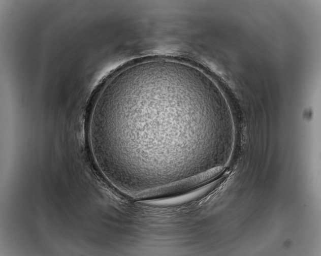 X0000099291214200805090922