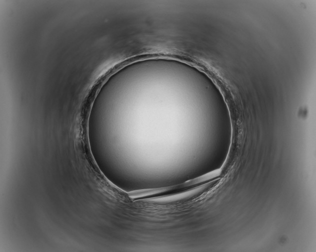 X0000099291215200805090922
