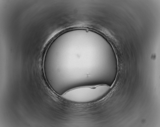X0000099291216200805090922