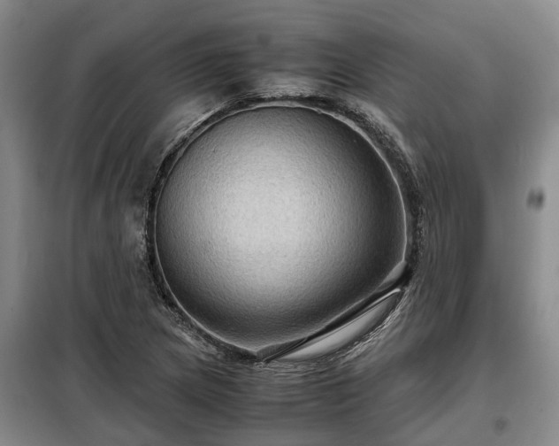 X0000099291217200805090922