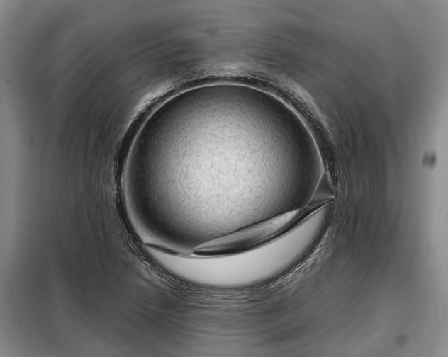 X0000099291218200805090922