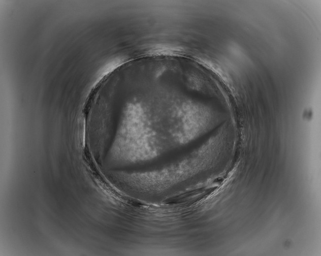 X0000099291219200805090922