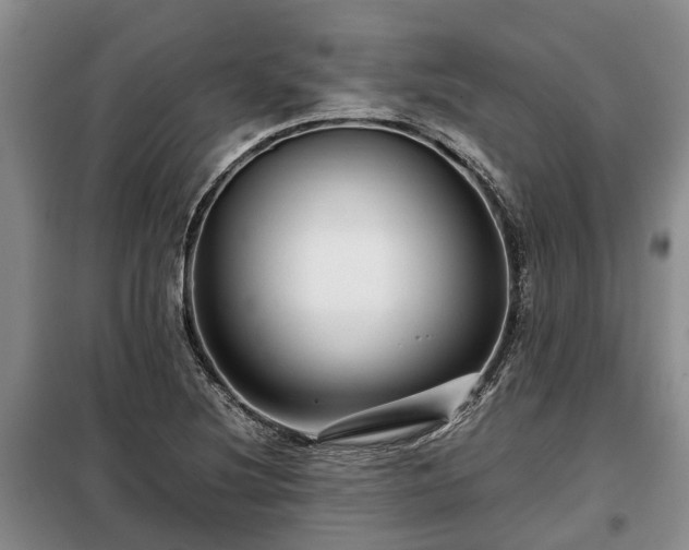 X0000099291220200805090922